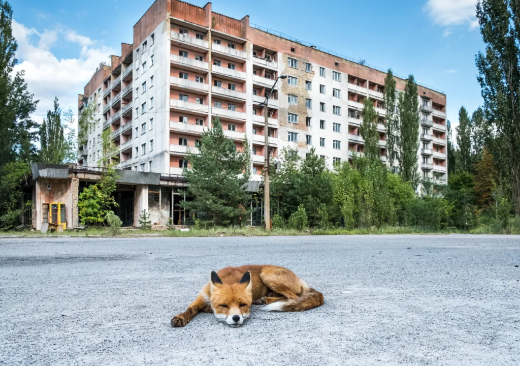 Chernobyl después de 35 años